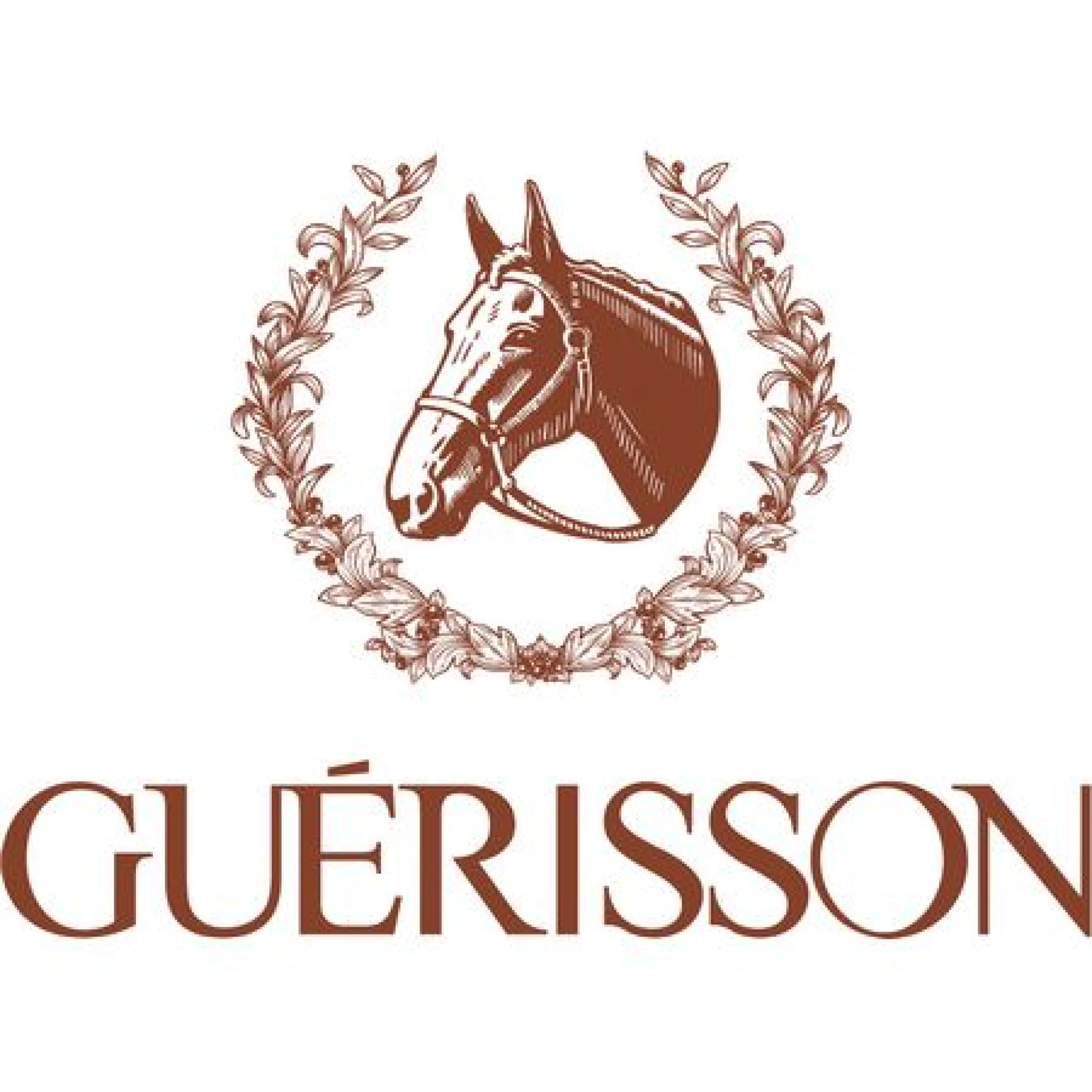 Guérisson