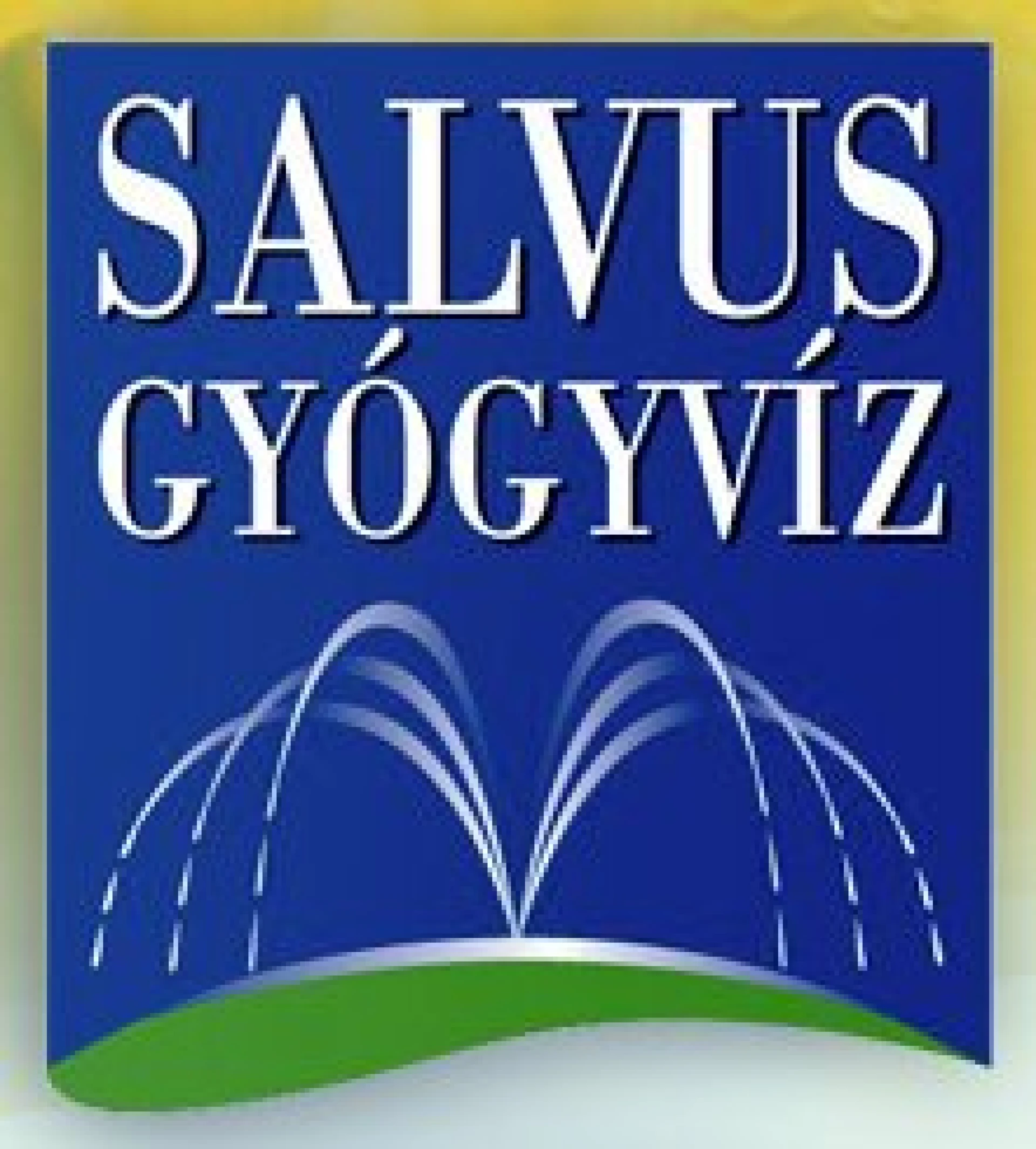 Salvus