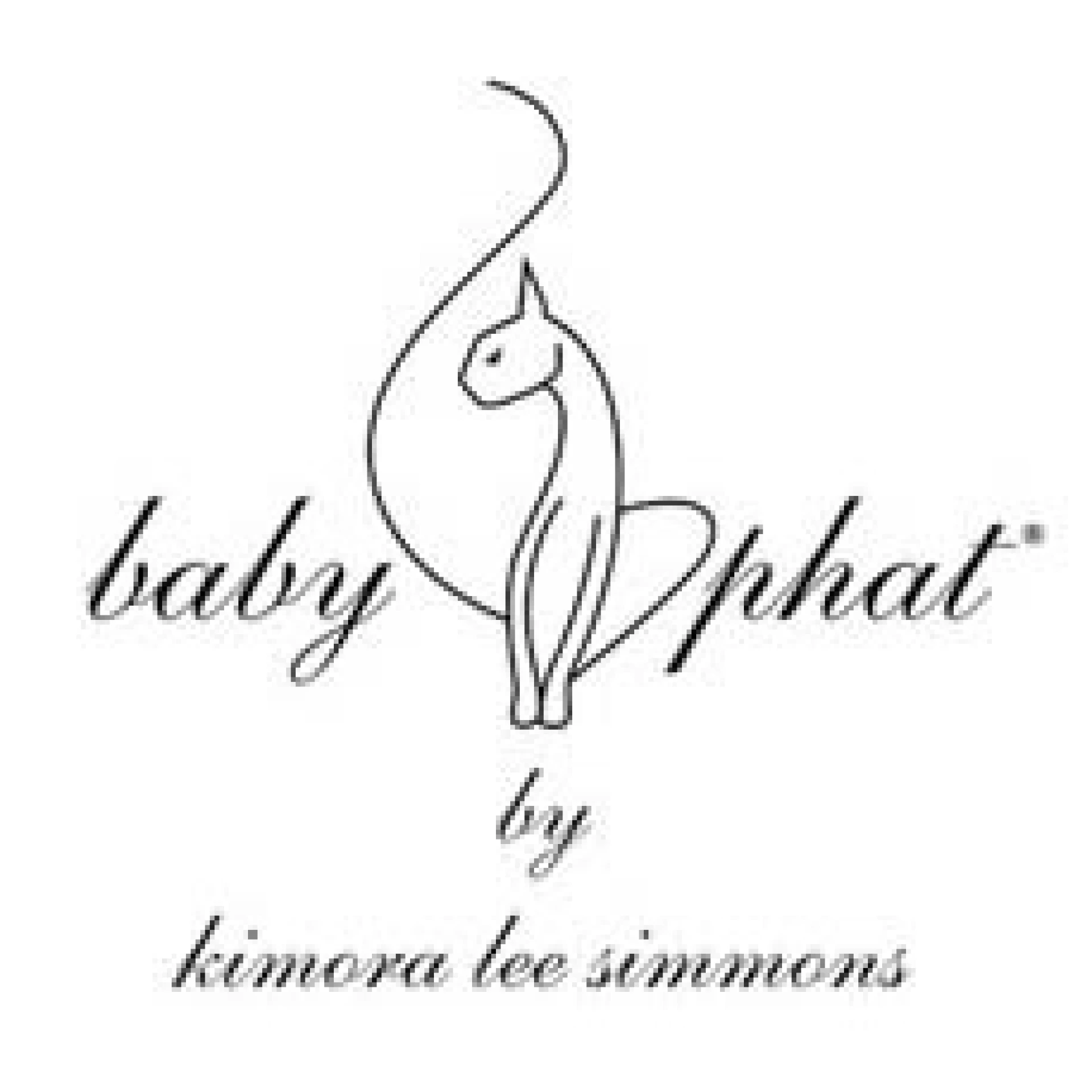 Kimora Lee Simmons