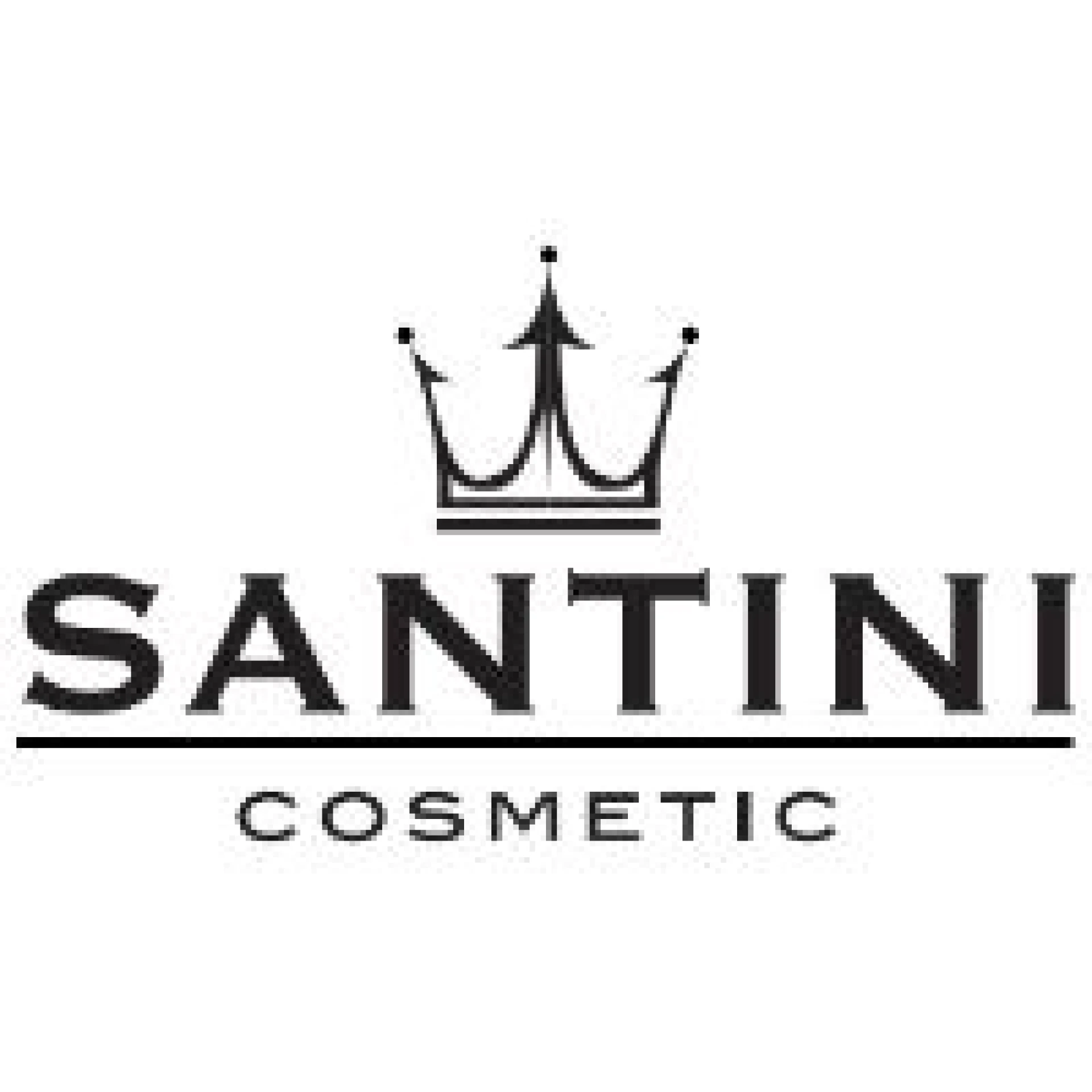 Santini