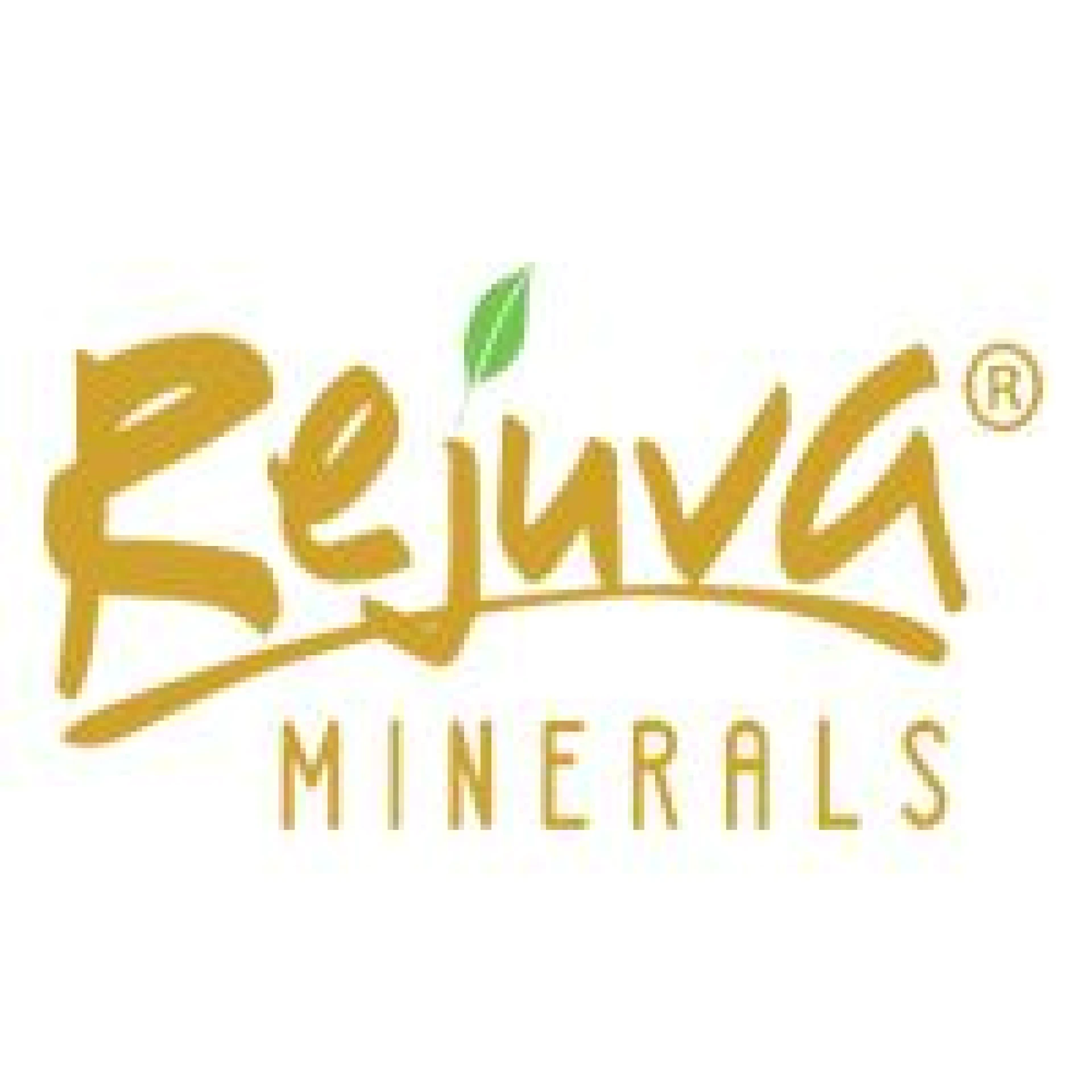 Rejuva Minerals