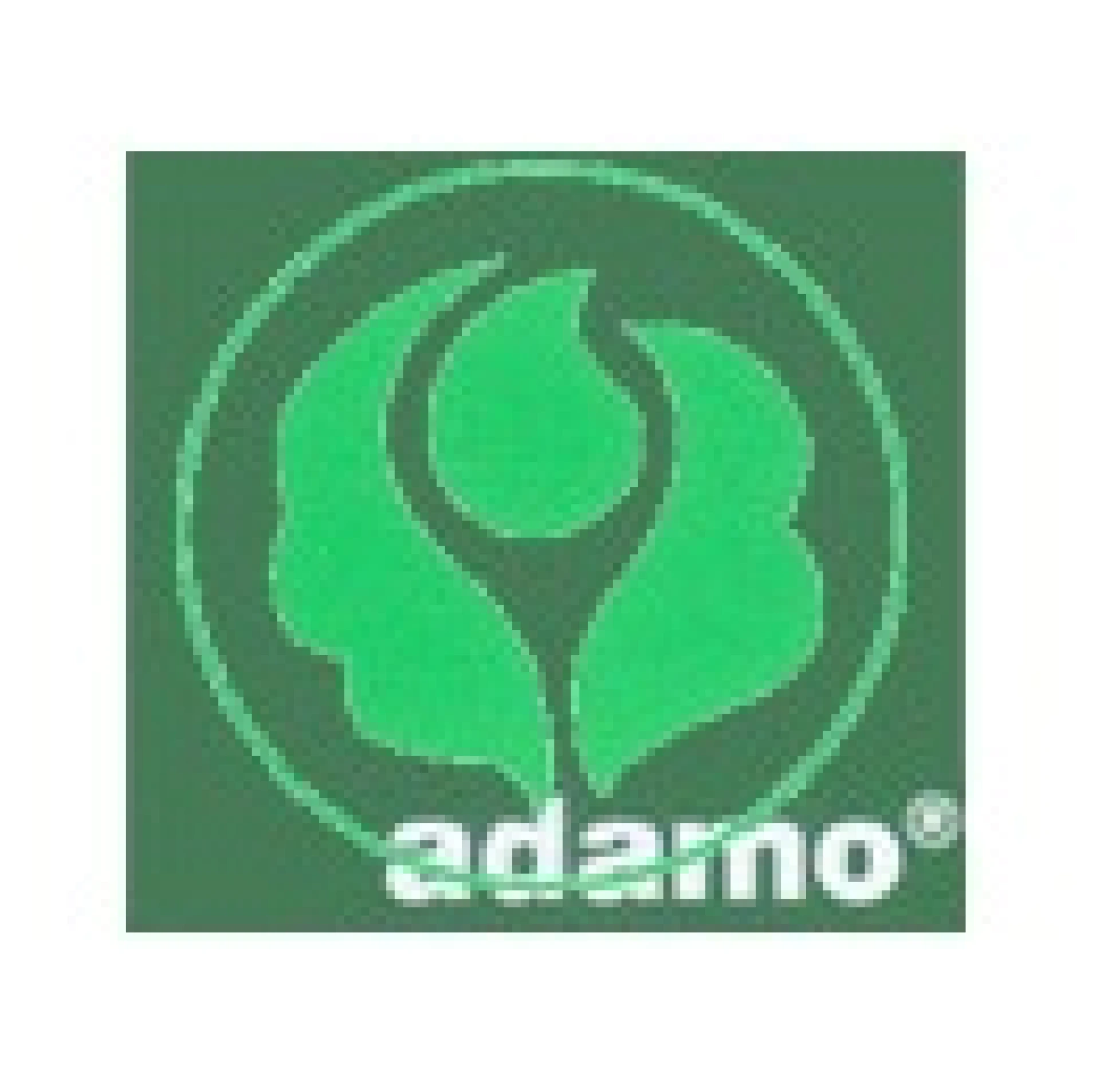 Adamo