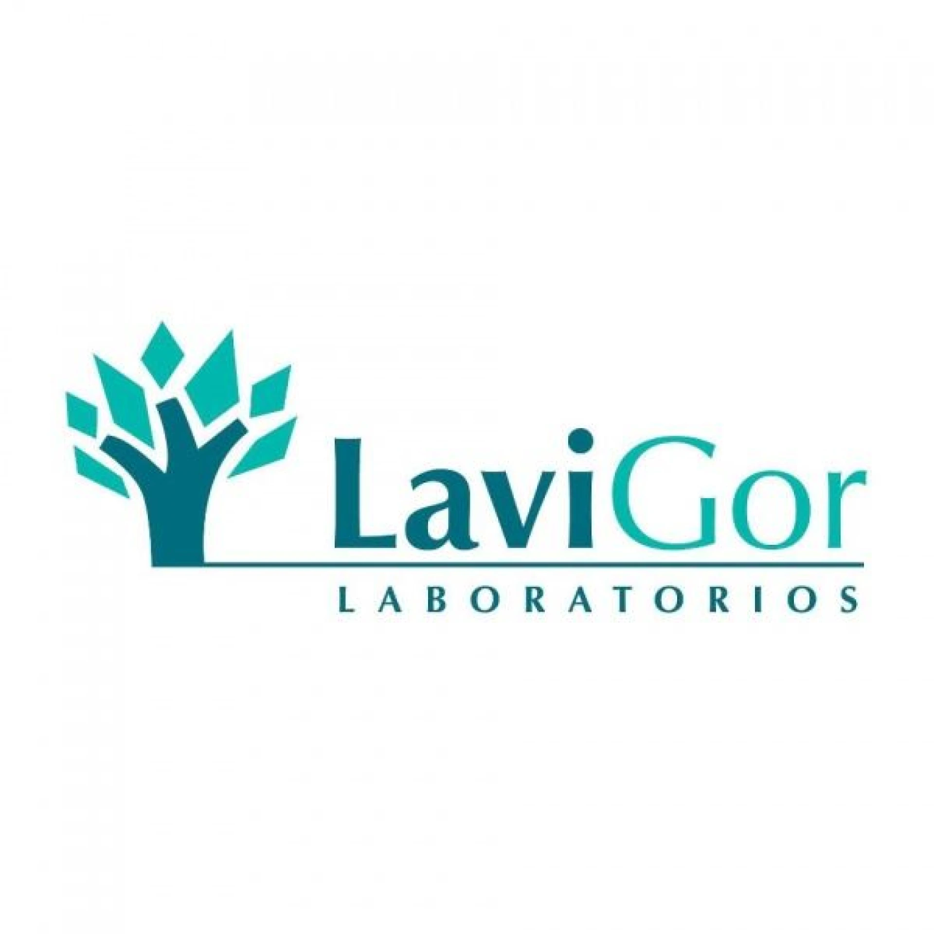 LaviGor