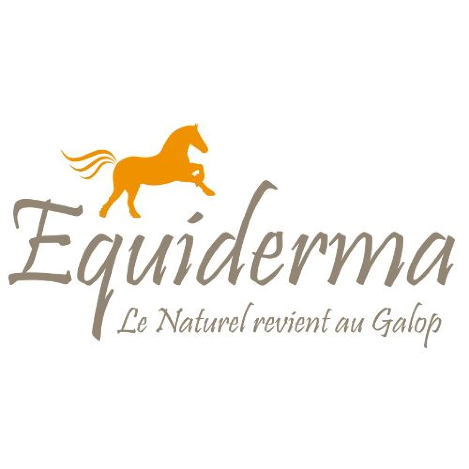 Equiderma