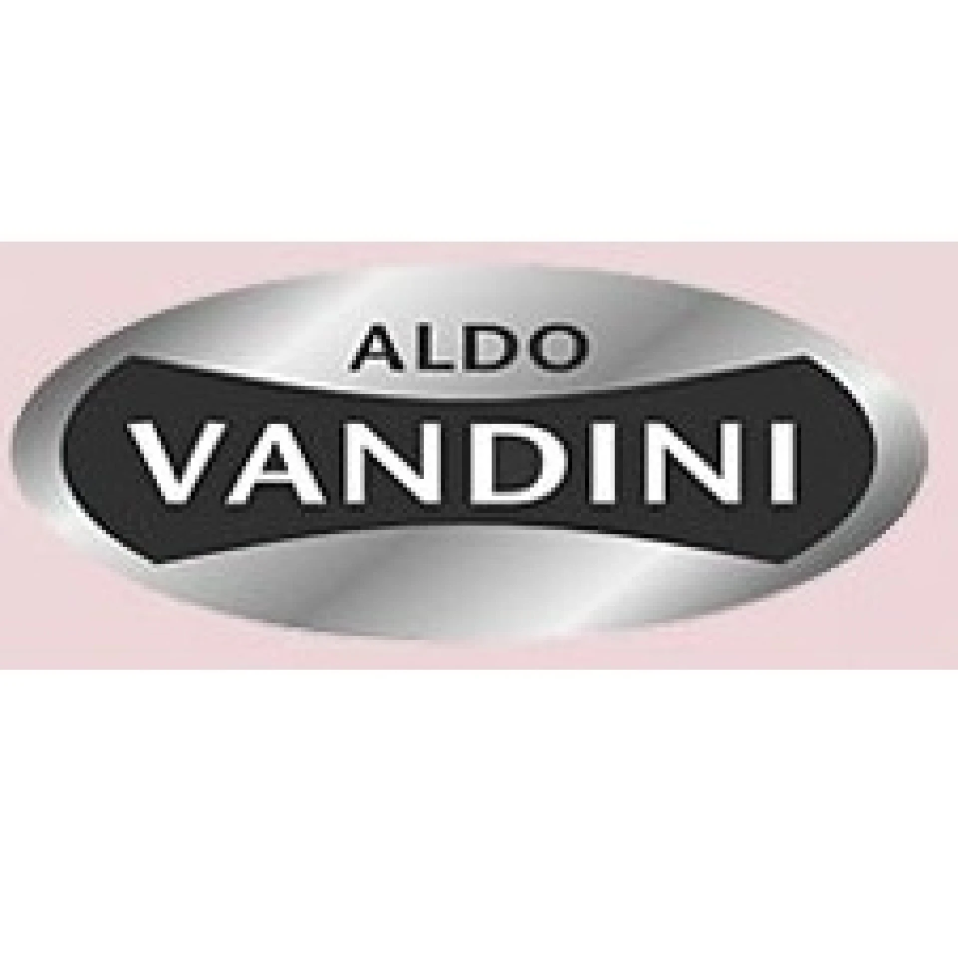 Aldo Vandini