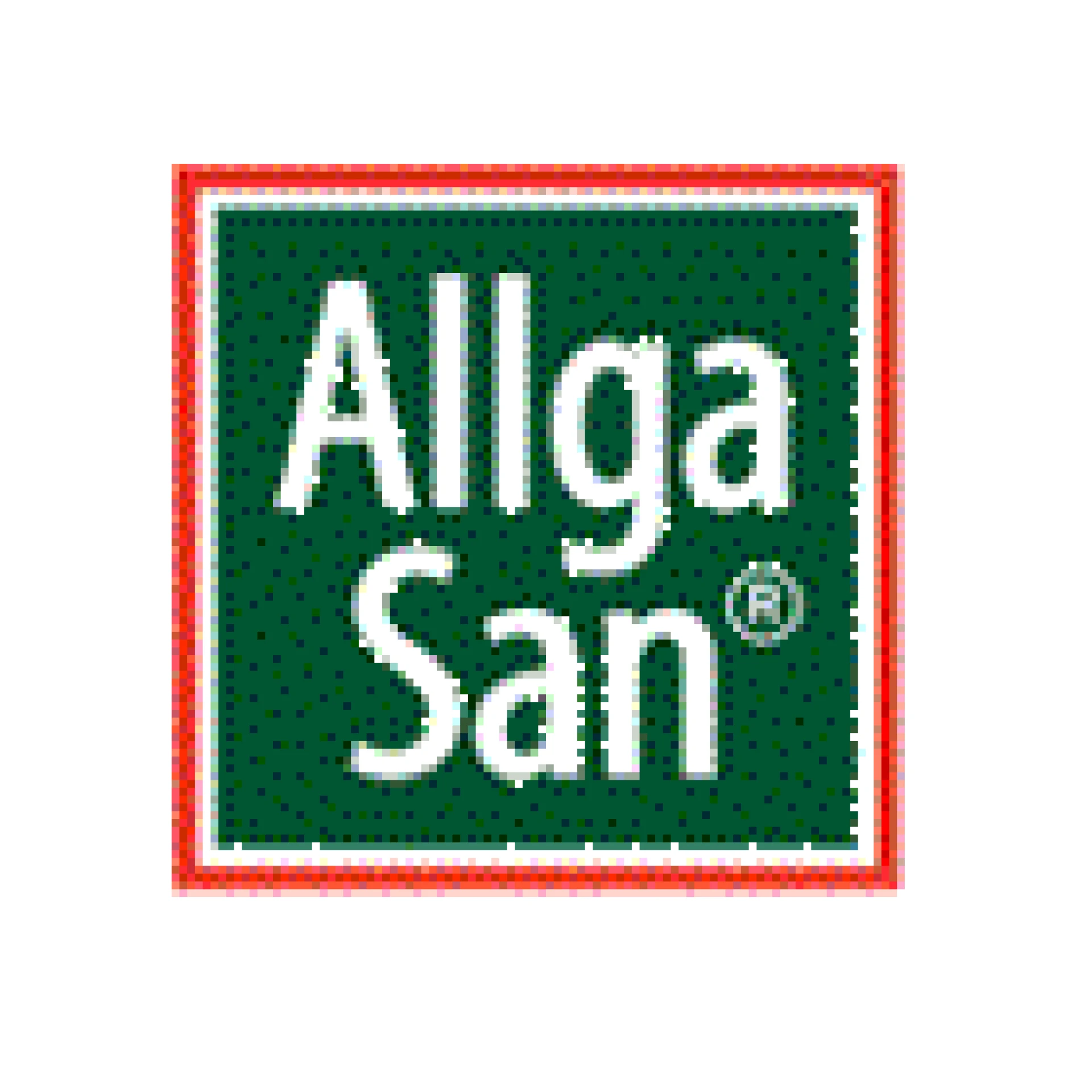 Allga San