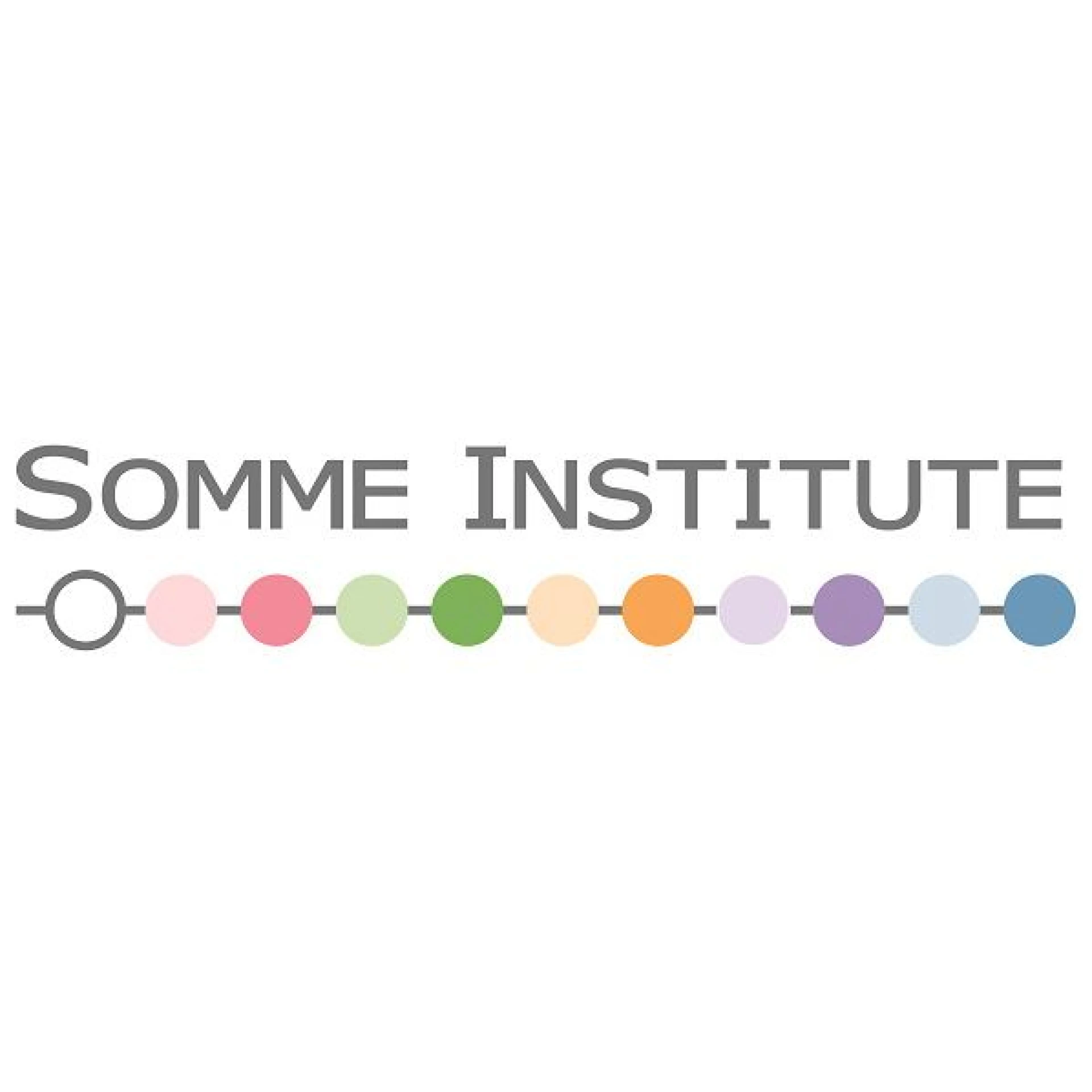 Somme Institute
