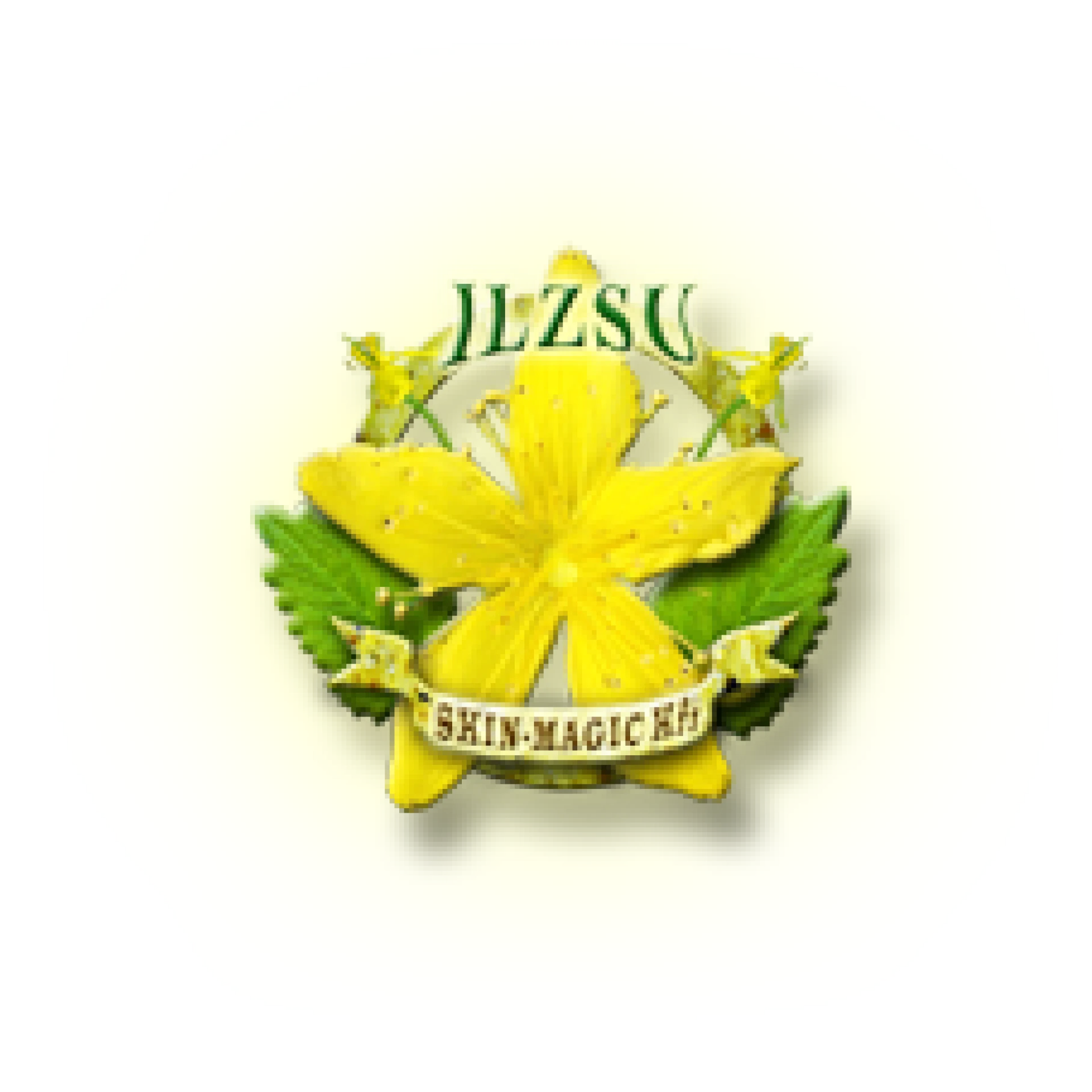 Ilzsu