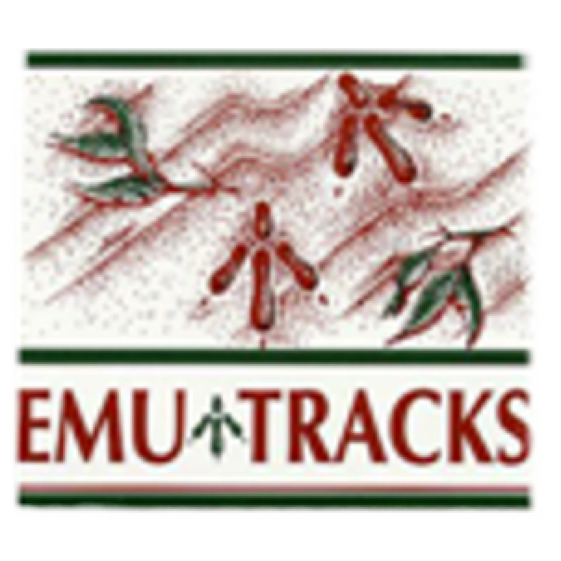EMU Tracks
