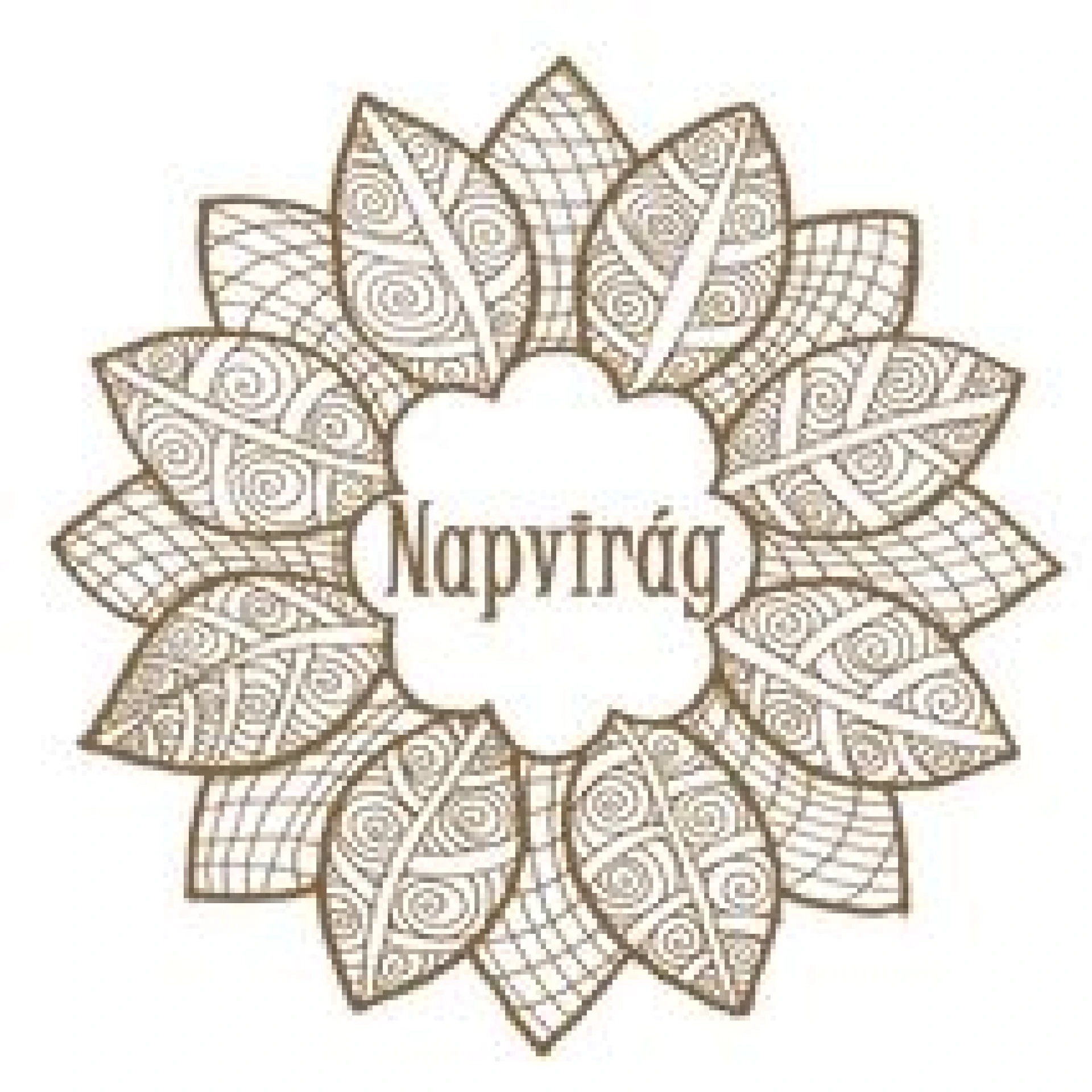 Napvirág