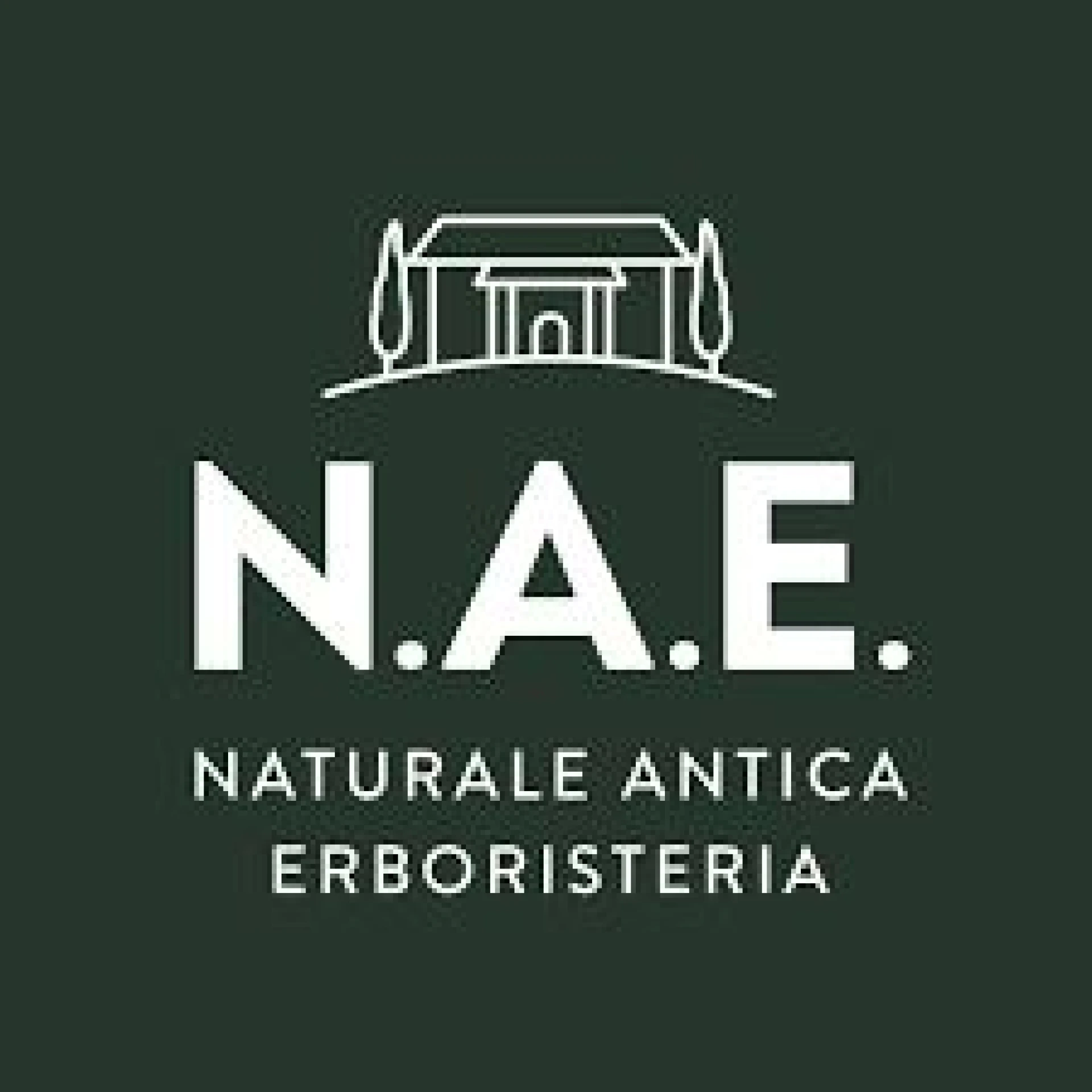 N.A.E.