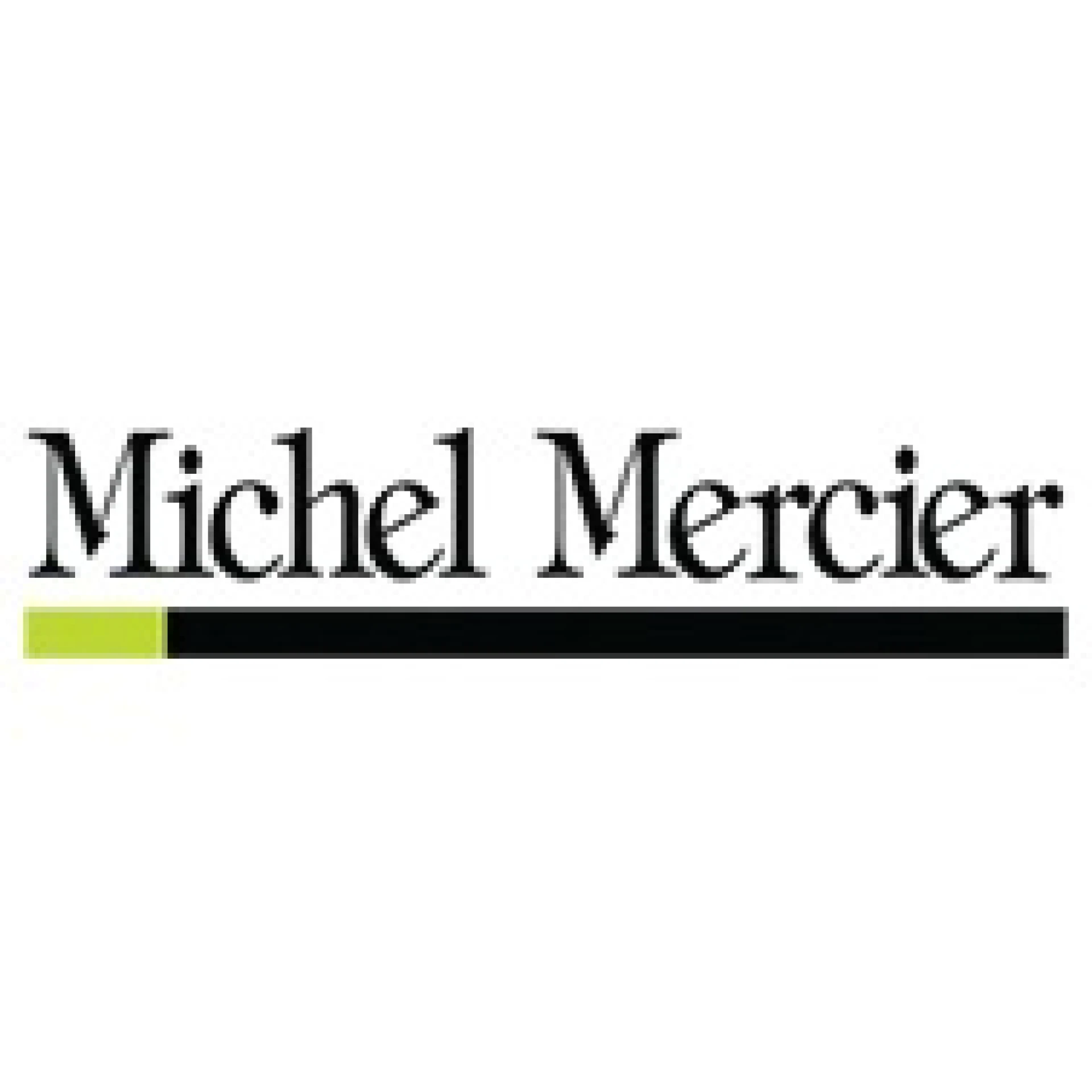 Michel Mercier Professionnel
