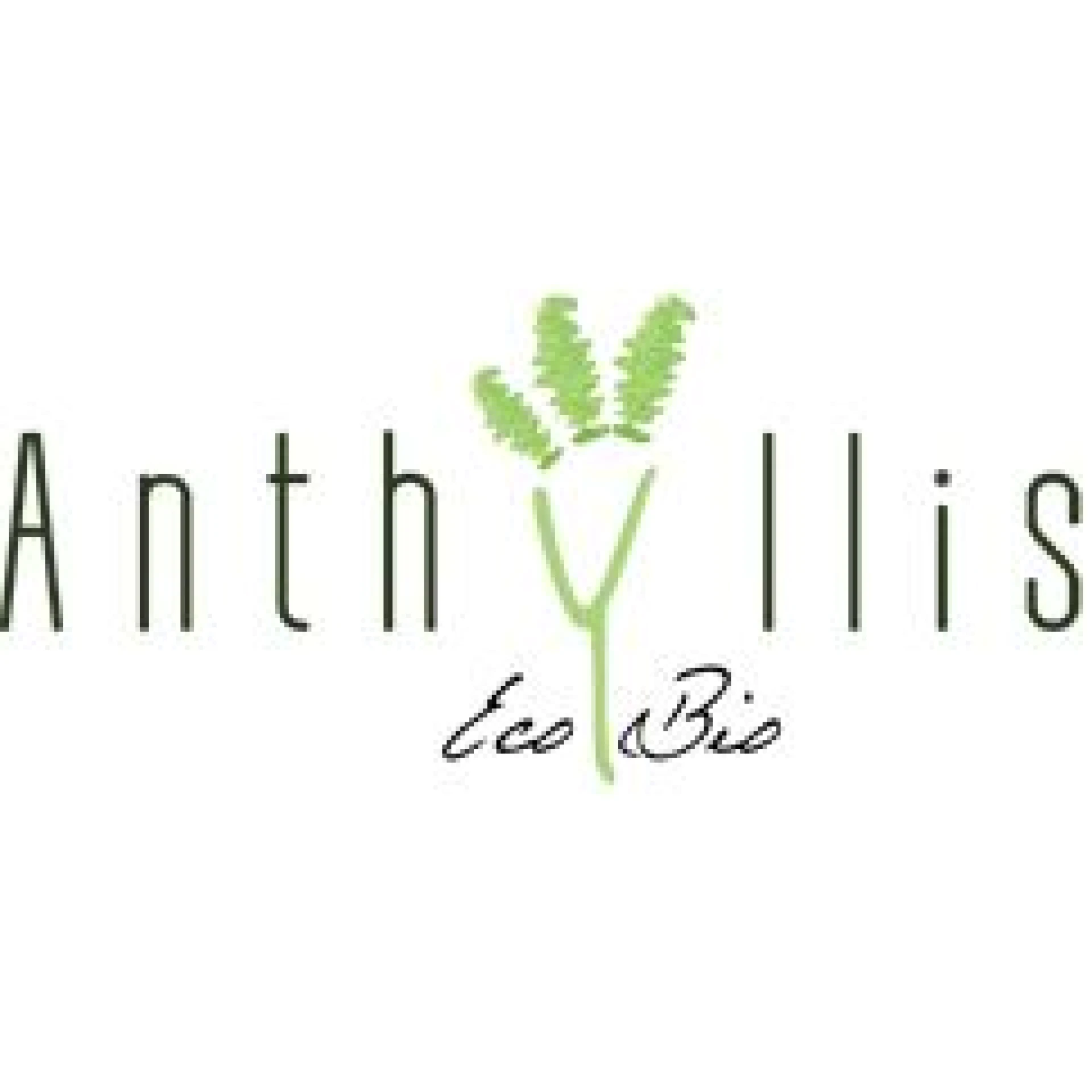 Anthyllis