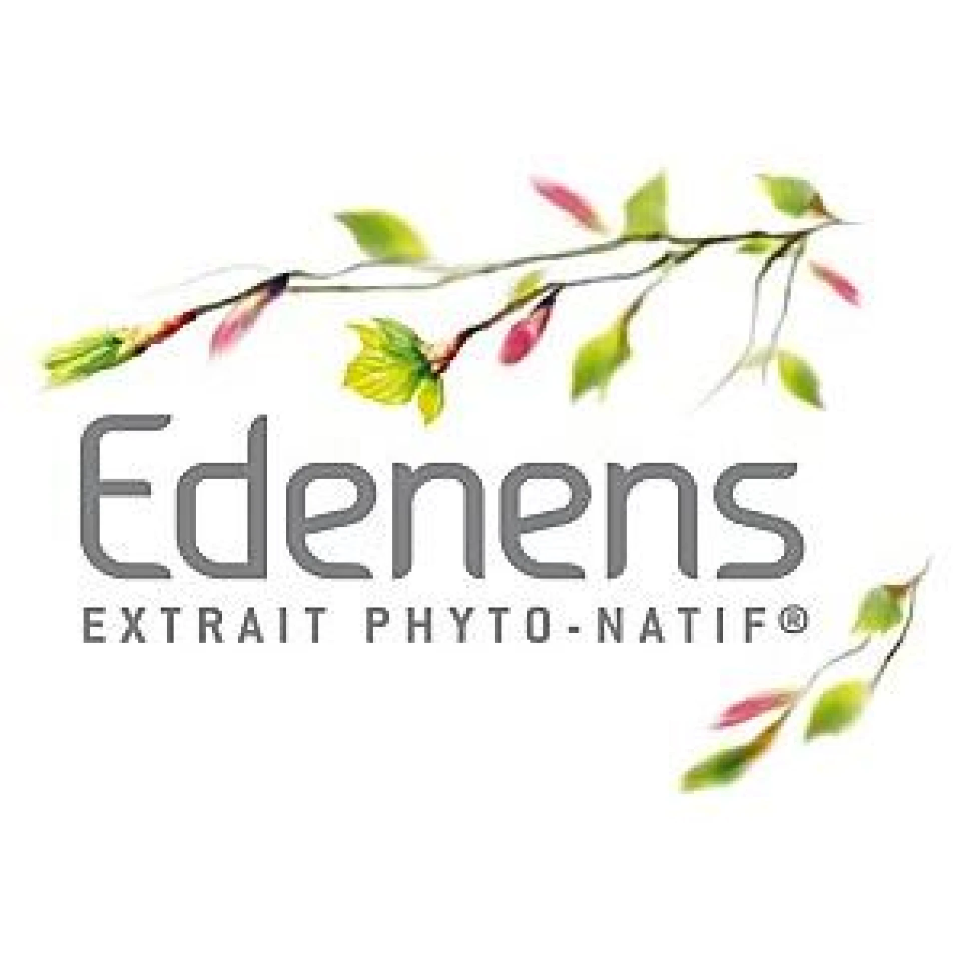Edenens