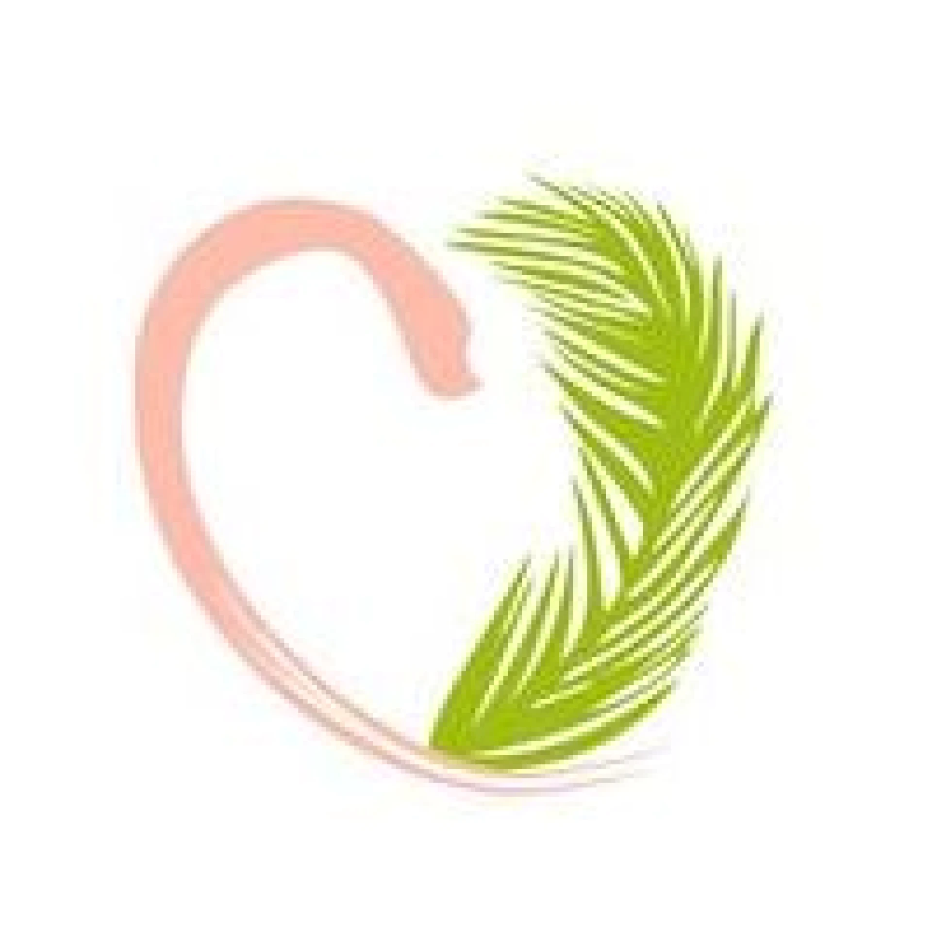 The Nude Co.