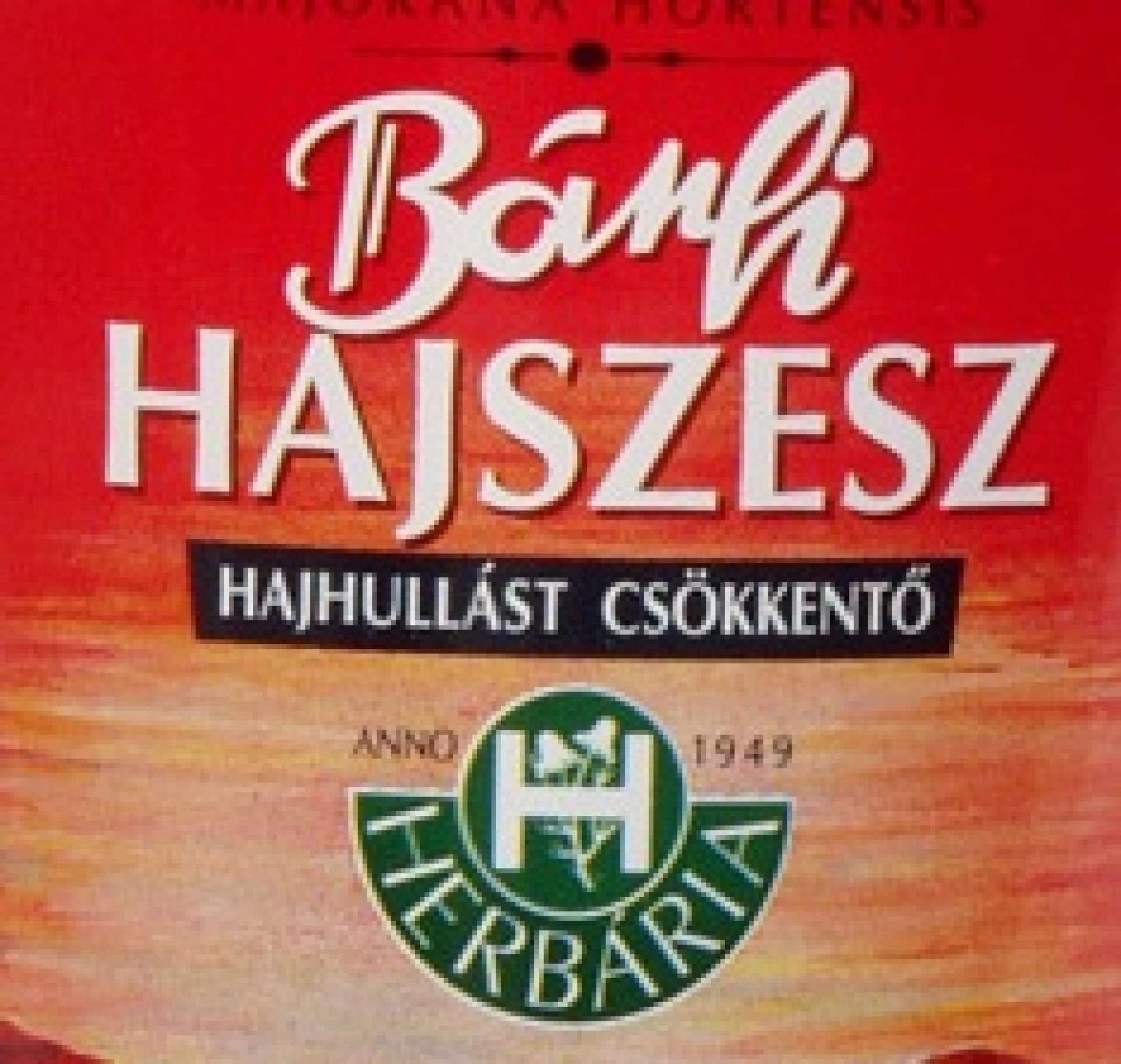 Bánfi