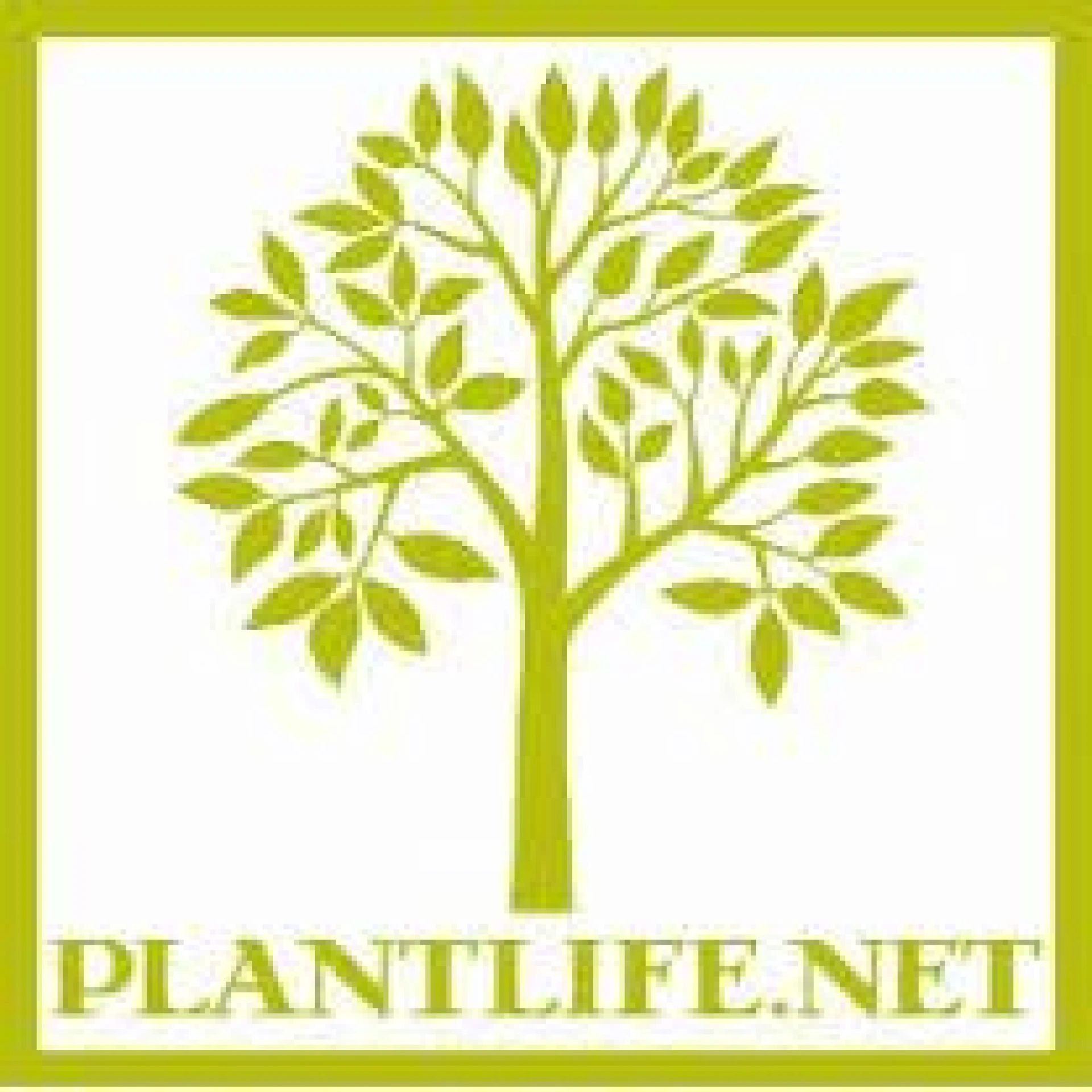 Plantlife