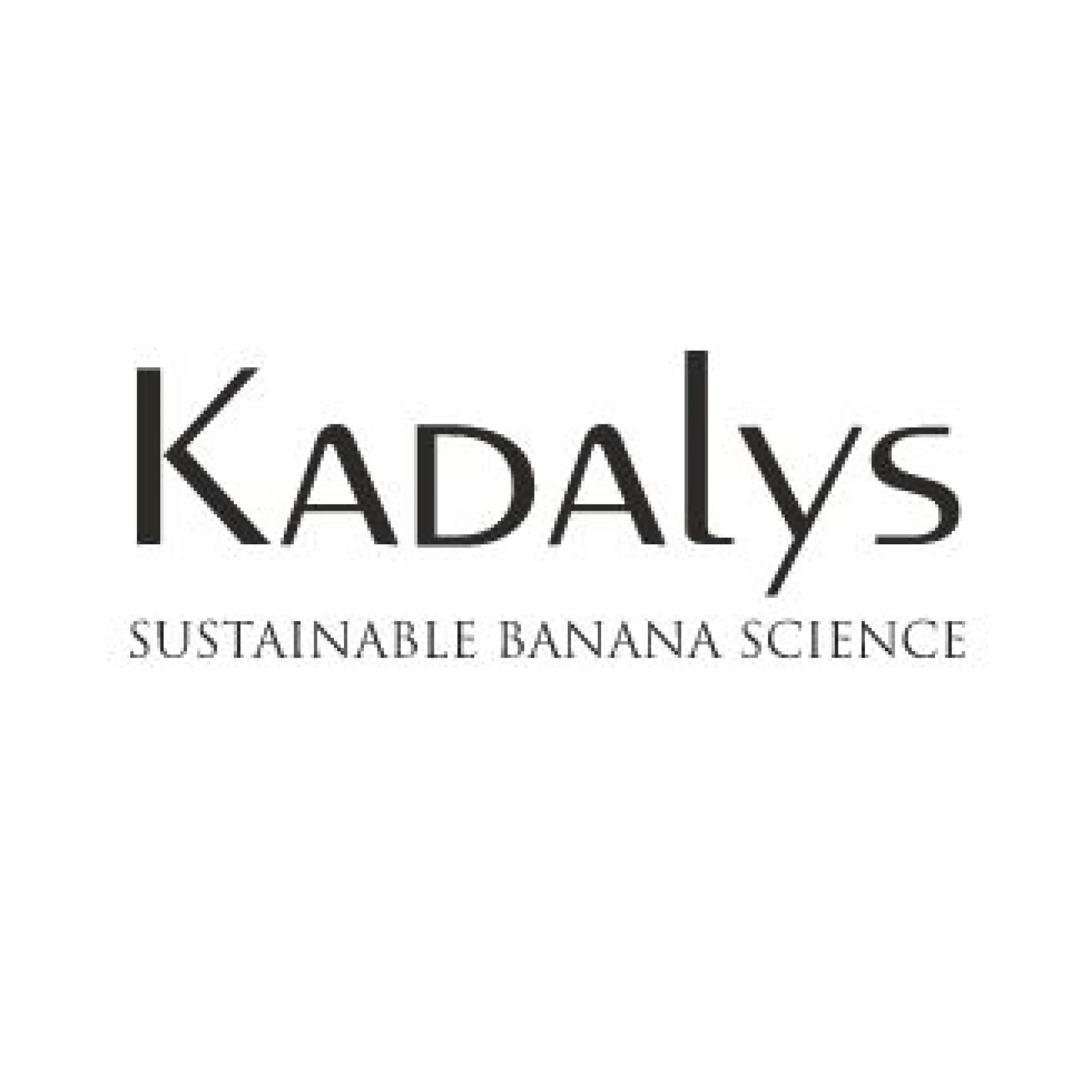 Kadalys
