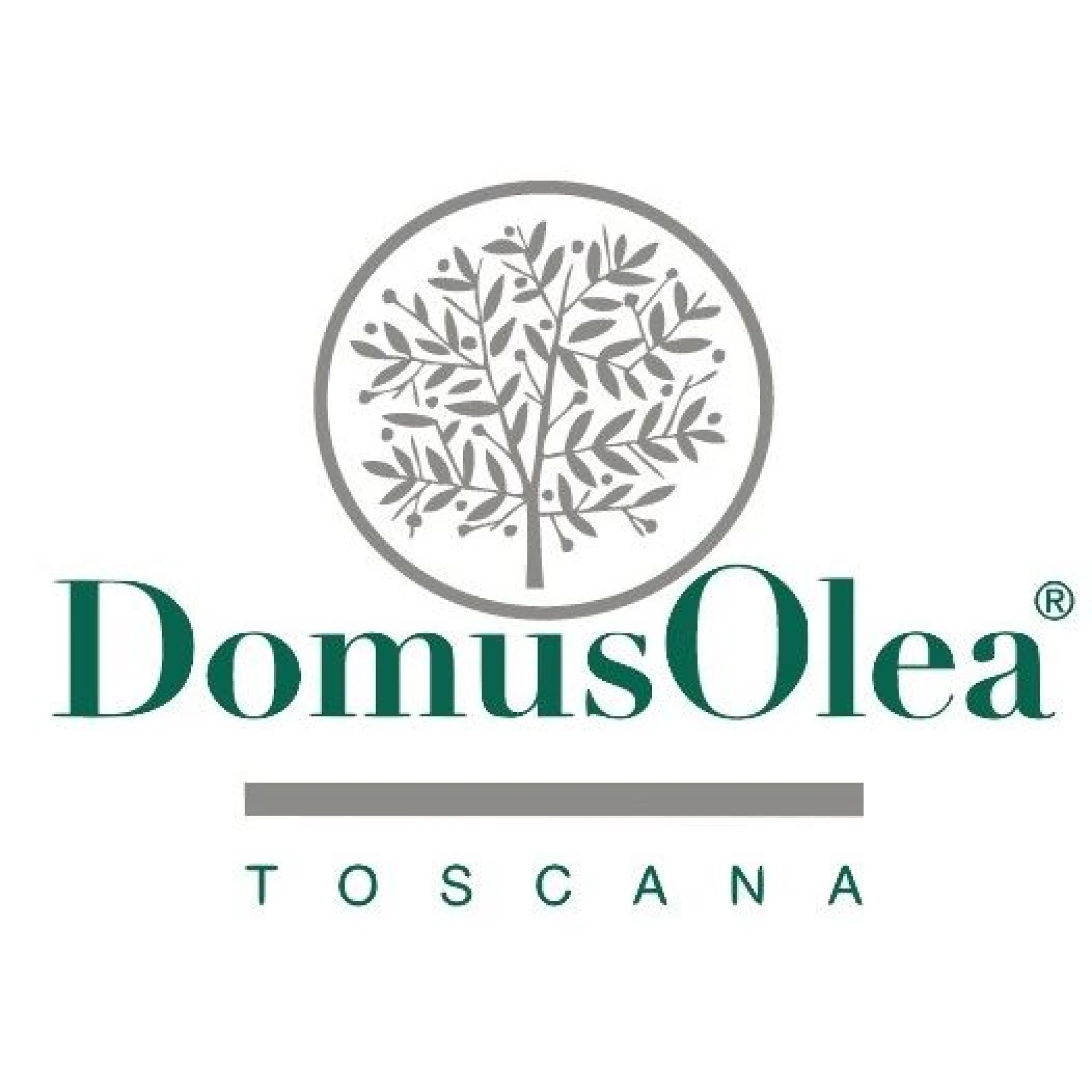 Domus Olea Toscana