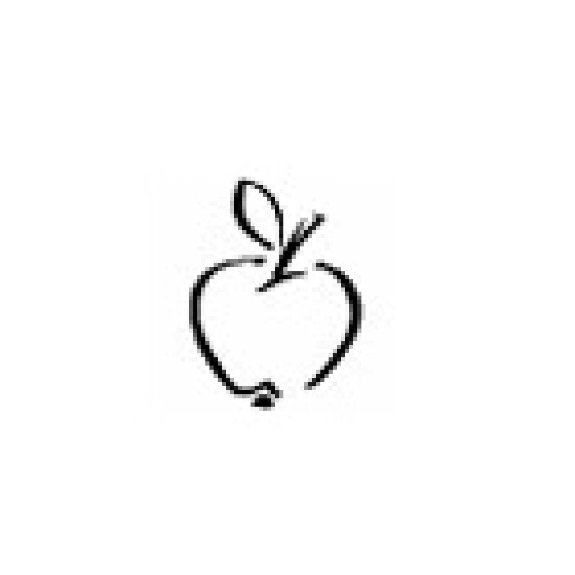 Malus