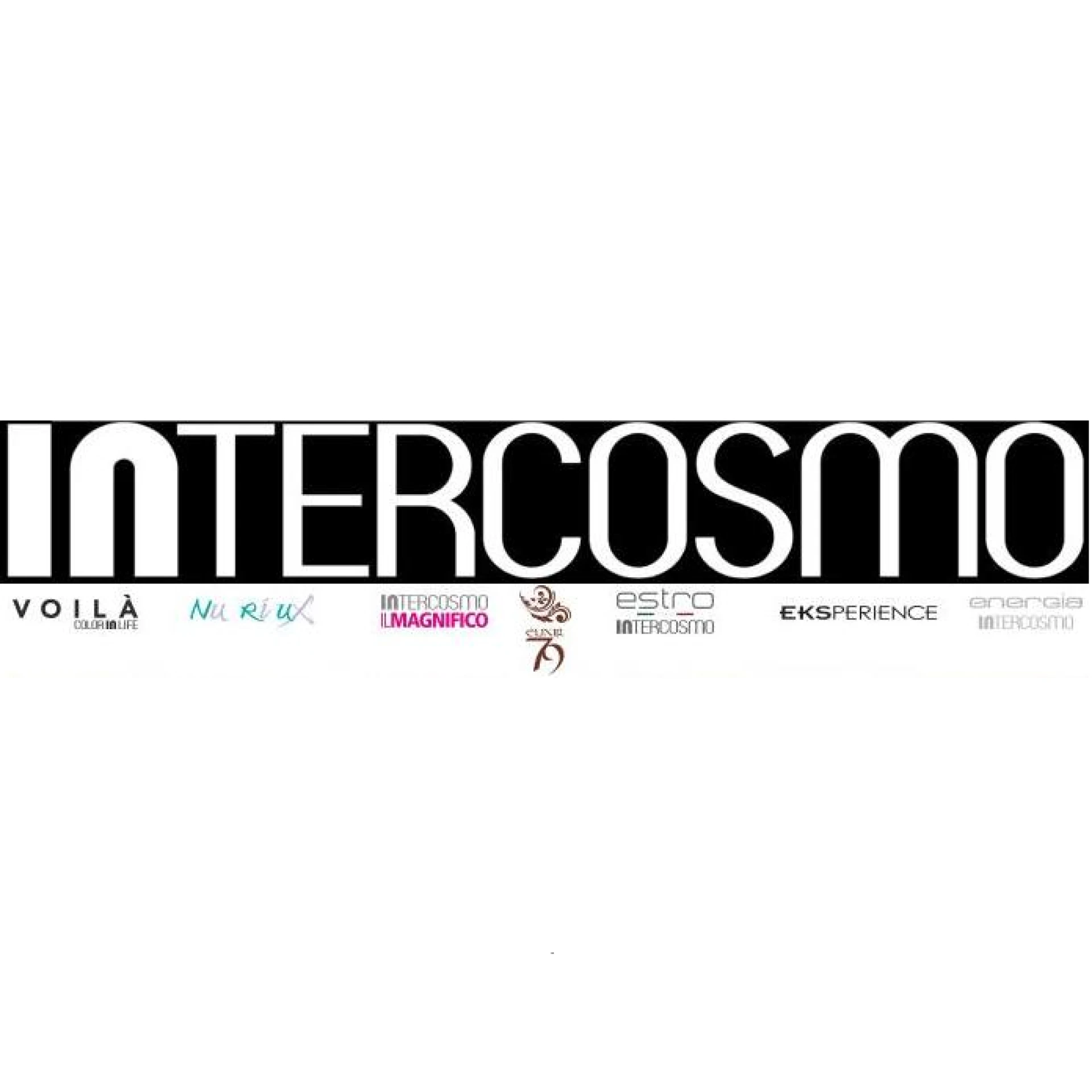 Intercosmo